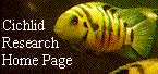 [Go to Contents of Cichlid Research Home Page]